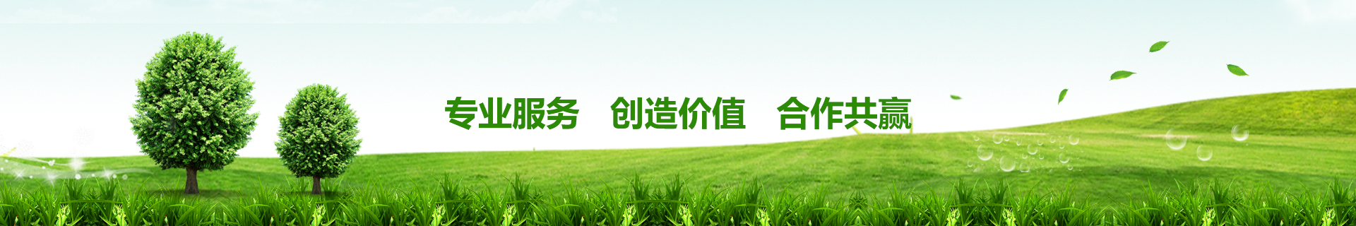搜索結果